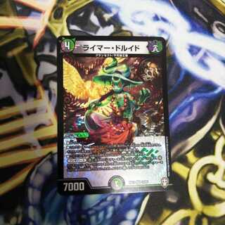 ライマードルイド