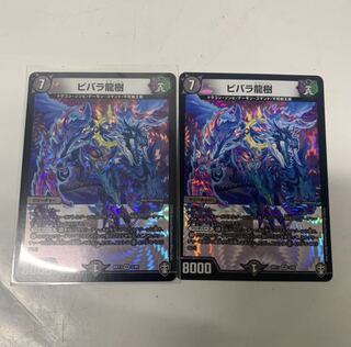ビバラ龍樹2枚セット