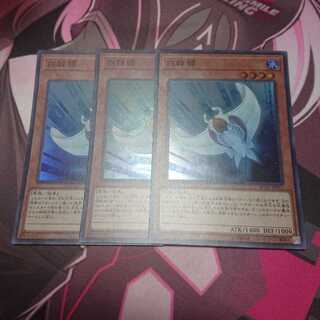 ホワイトスティングレイ 3枚