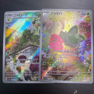 ニャオハ&ニャローテ　ARセット