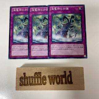 海竜神の加護 4