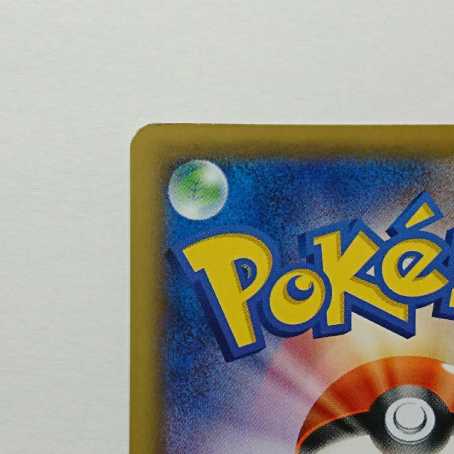 SilvallyGX(SA) [SR] {065/049}