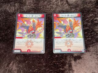 Cocco Bu Lupia R 19/74