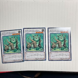 Naturia Beast Normal JP010 1枚