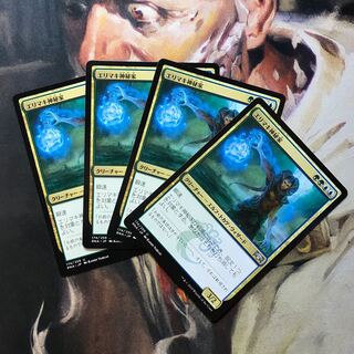 エリマキ神秘家 日4枚セット