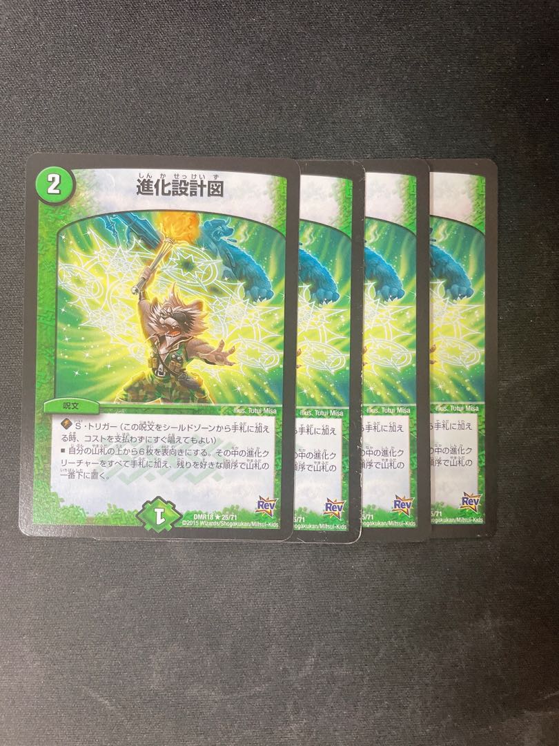 Evolutionary blueprint R 25/71