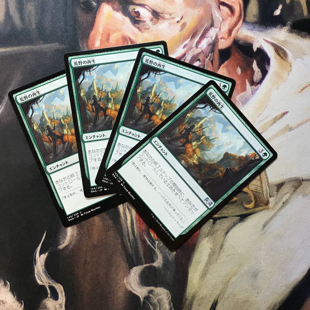 荒野の再生 日 4枚セット