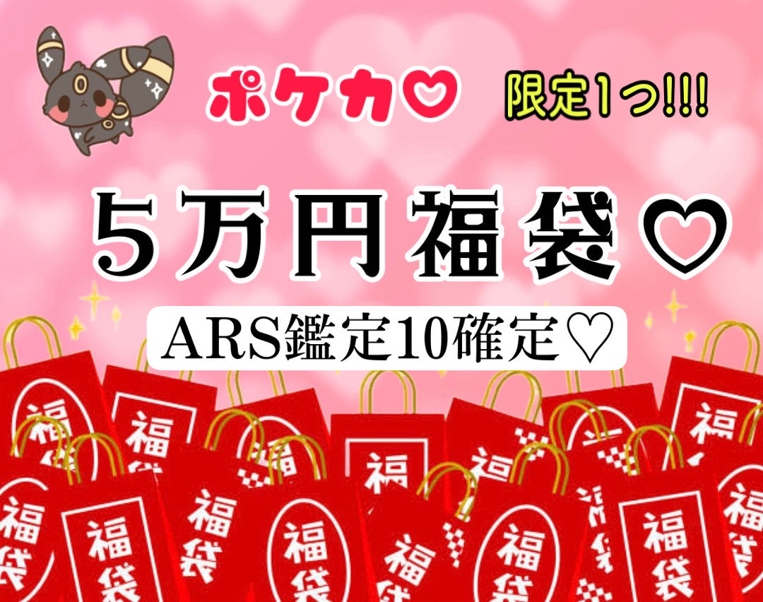 ARS10二枚確定♡5万円福袋♡限定1口のみ♡の通販 karin shop