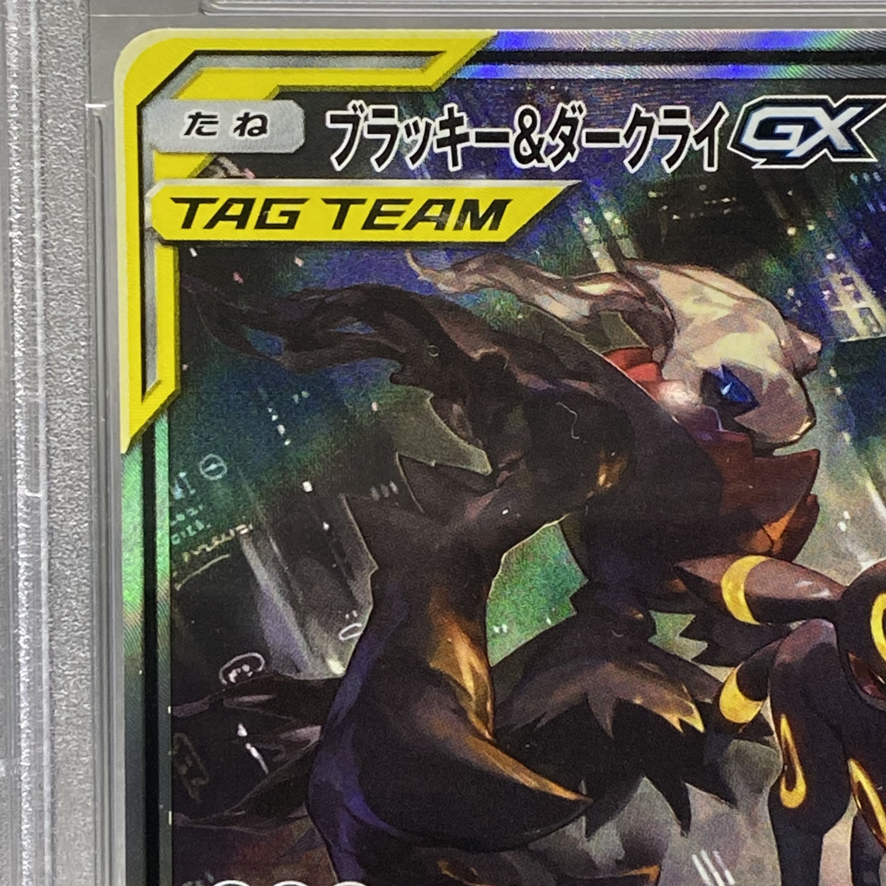 PSA10 ブラッキー＆ダークライGX SR SA 182/173 1枚