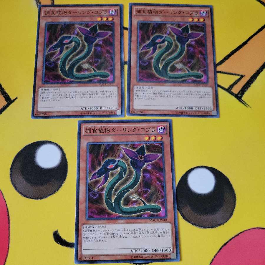 Predaplant Darlingtonia Cobra 3 piece set Normal JP010