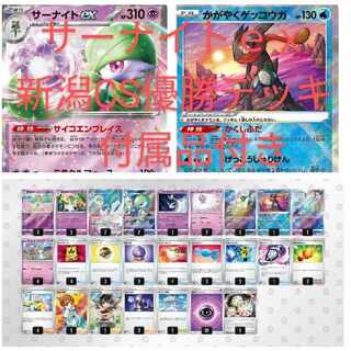 Gardevoirex Niigata CS winning deck with accessory damecan case