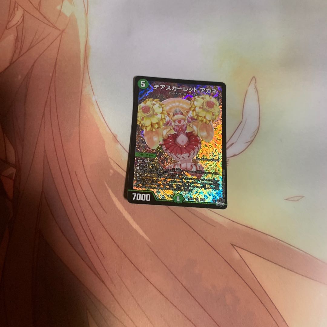 Cheer Scarlet Whitney SR S8/S8