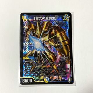 「雷光の聖騎士」　ライトニングソードパラディン