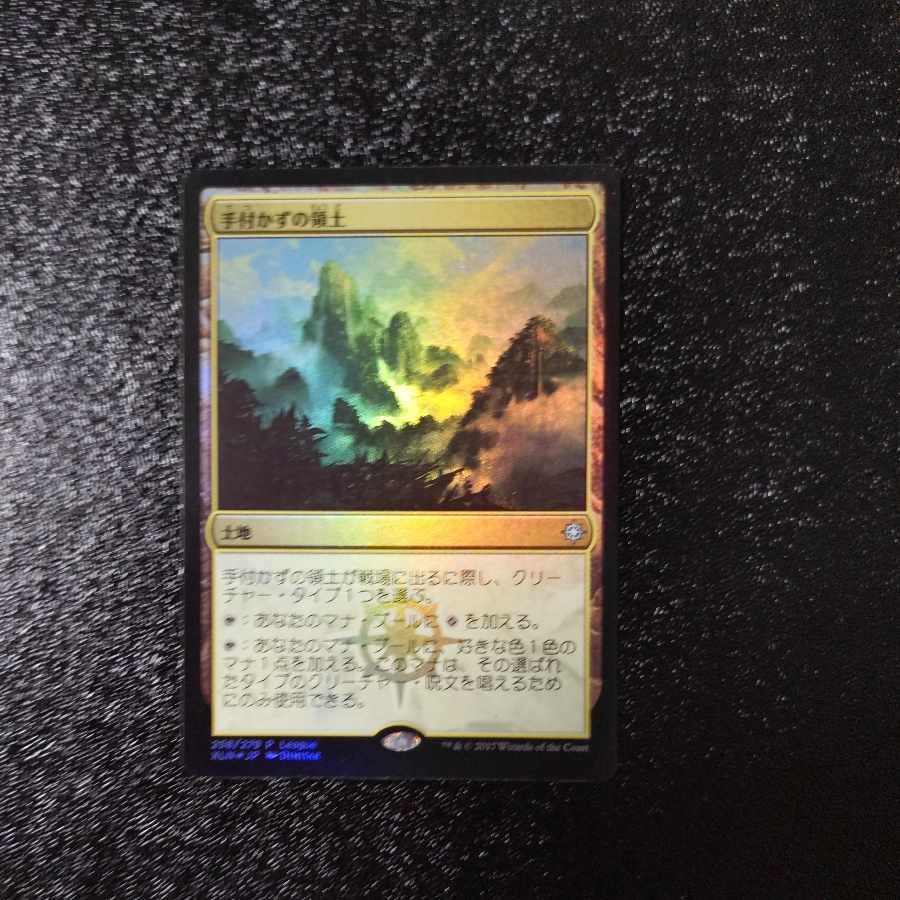 【落札後48時間以内に発送】手付かずの領土【FOIL】