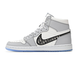 Dior x Nike Air Jordan 1 High OG "Dior" Wolf Grey/Sail/Photon Dust/Ho Wight CN8607-002 25cm