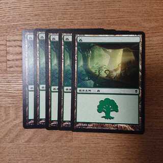 MTG Zendikar Basic Land