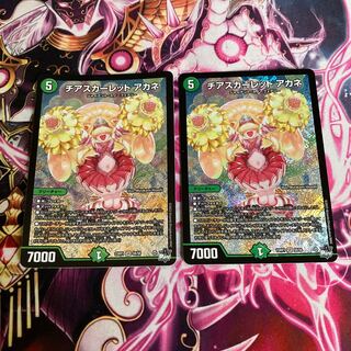 Cheer Scarlet Whitney SR S8/S8