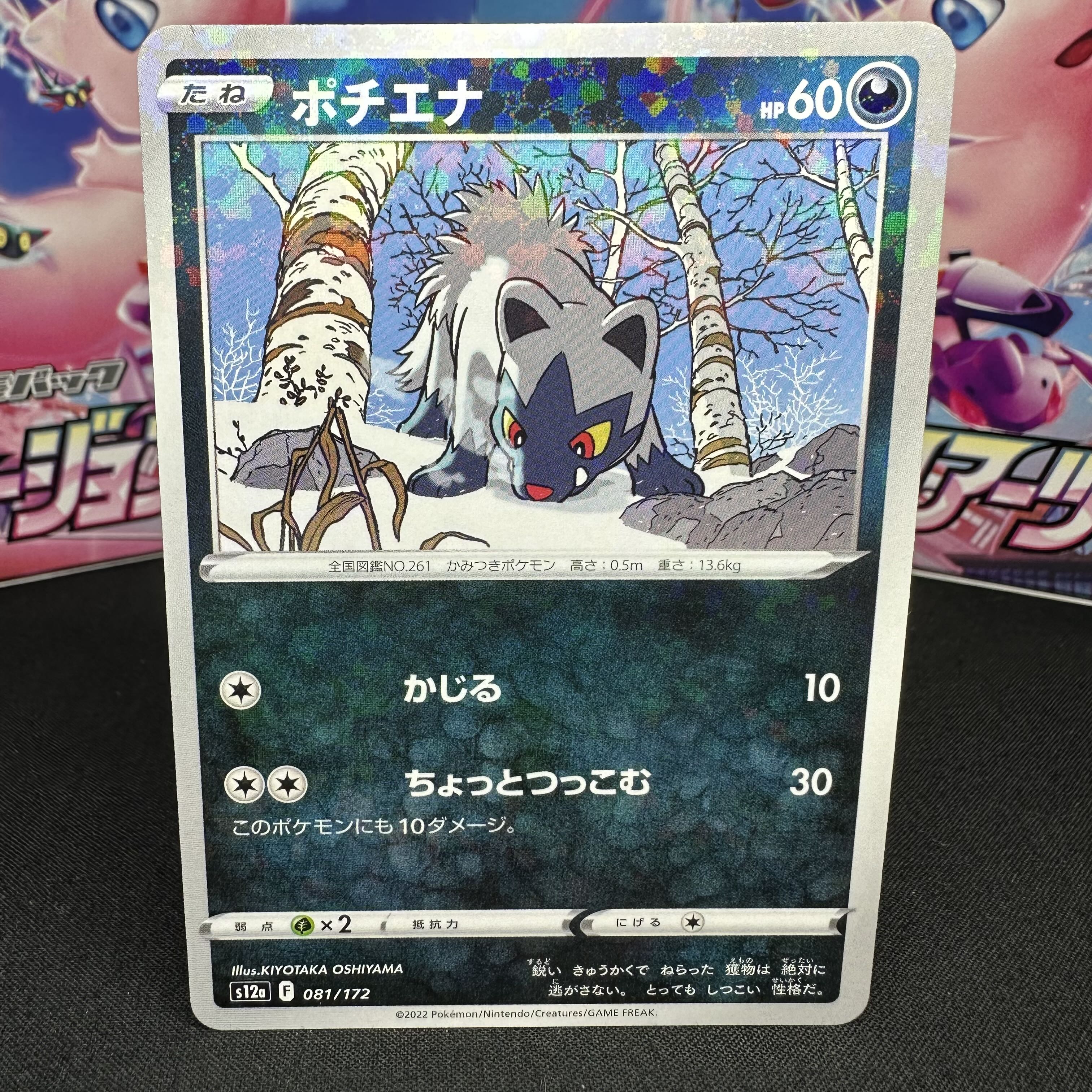 Poochyena (Kira) 081/172