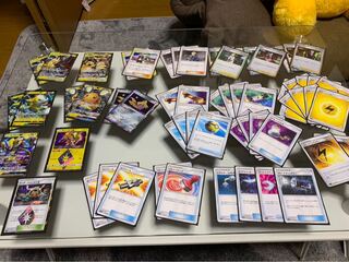 【引退品】　ピカゼクグズハラ型