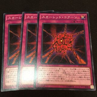 【アイクの遊戯王】スカーレッド・コクーン3枚