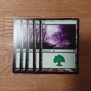 MTG Innistrad Basic Land
