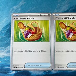 2 pokekas Picnic basket