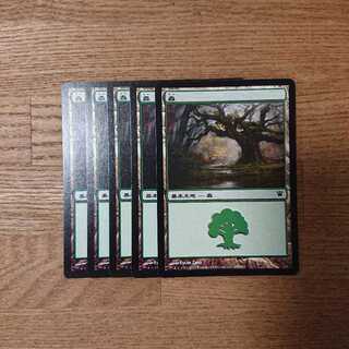 MTG Innistrad Basic Land