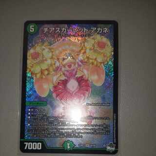 Cheer Scarlet Whitney SR S8/S8