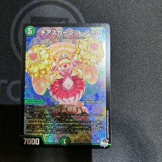 Cheer Scarlet Whitney SR S8/S8