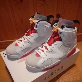 ナイキ エアジョーダン6 ニュートラルグレー ヘア 25.5cm