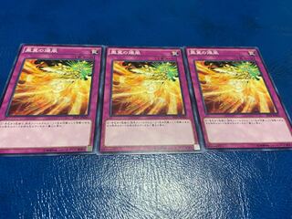 Phoenix Wing Wind Blast Normal 3 cards A-44