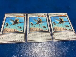 [TAKUMI] Desert Locusts Normal 3 sheets A-79