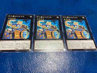 TAKUMI] Zoodiac Tigermortar, normal, 3 pieces, A-93