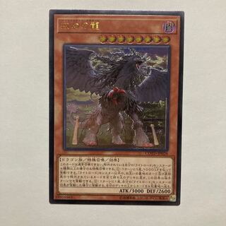 Punishment Dragon Ultimate Rare JP028