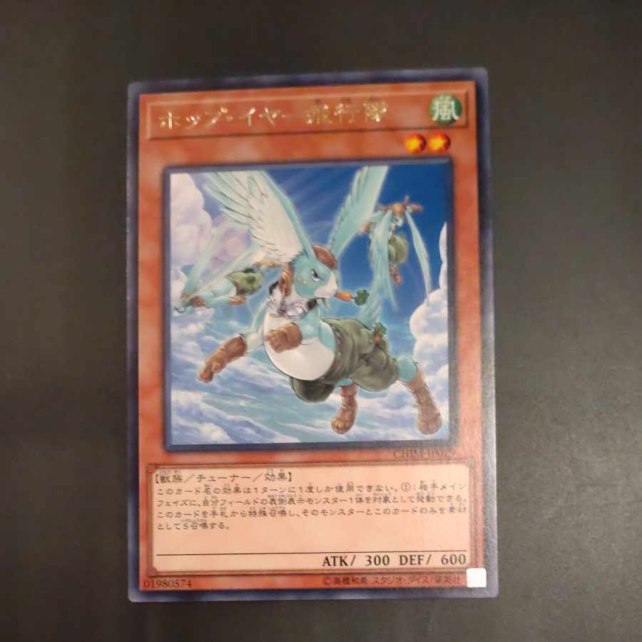 Hop Ear Squadron rare JP029 [Mokurindo