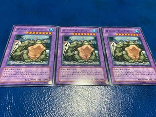 TAKUMI] D.3.S. Frog, normal, 3 sheets, A-116