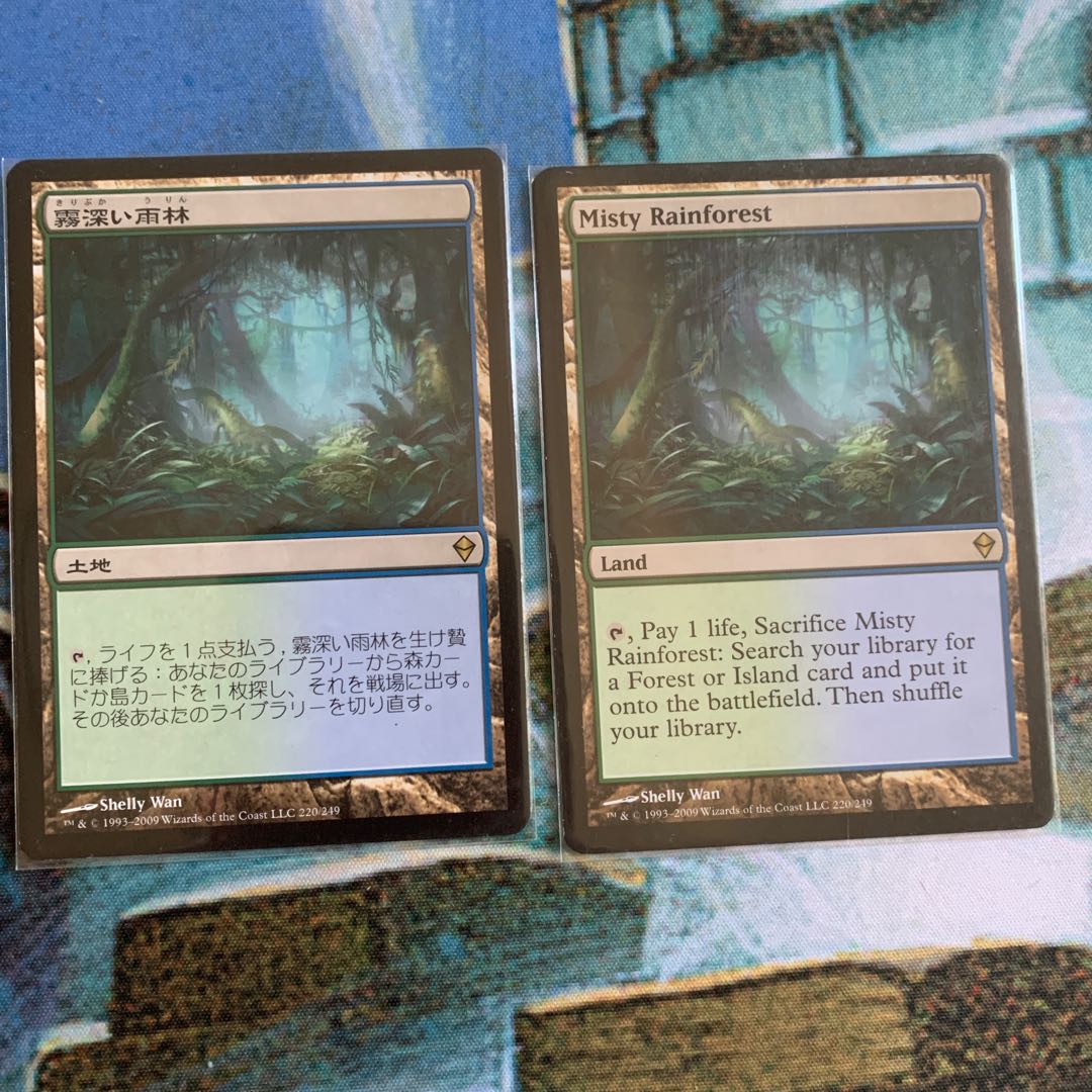 とんじる様専用 霧深い雨林