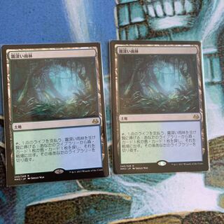 霧深い雨林 2枚