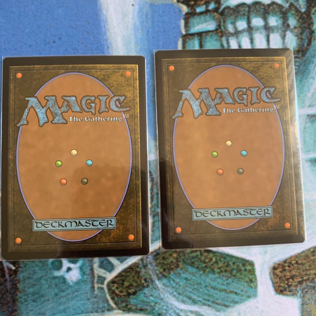 霧深い雨林 2枚