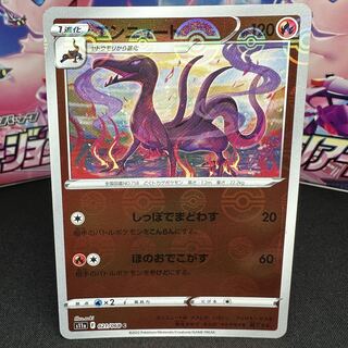 Salazzle (mirror) C 021/068
