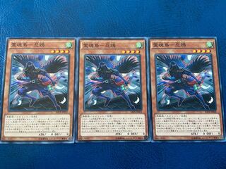 TAKUMI] Rei Soul Bird - Shinigami Raven, normal, 3 pieces, A-185