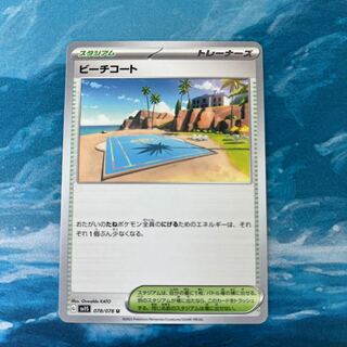 Pocketka Beach Court