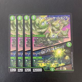 キャベッジ・セッションズ｜ソイルピンプ・キャベッジ R 52/130