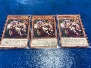 TAKUMI] Traptrix Mantis Normal 3 sheets A-190