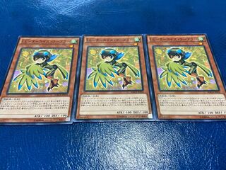 TAKUMI] LL-Turquoise Warbler, normal, 3 pieces, A-193