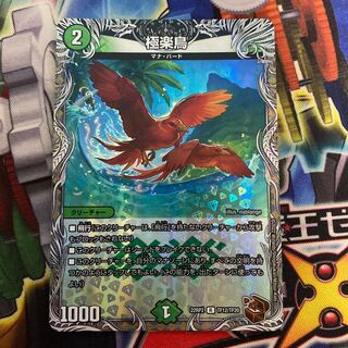 Birds of Paradise (Copper Treasure) R-foil TF12/TF20