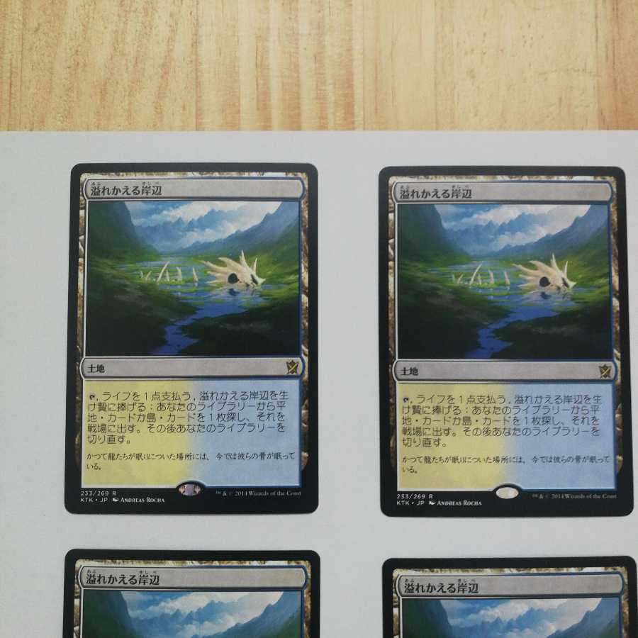 溢れかえる岸辺 日本語