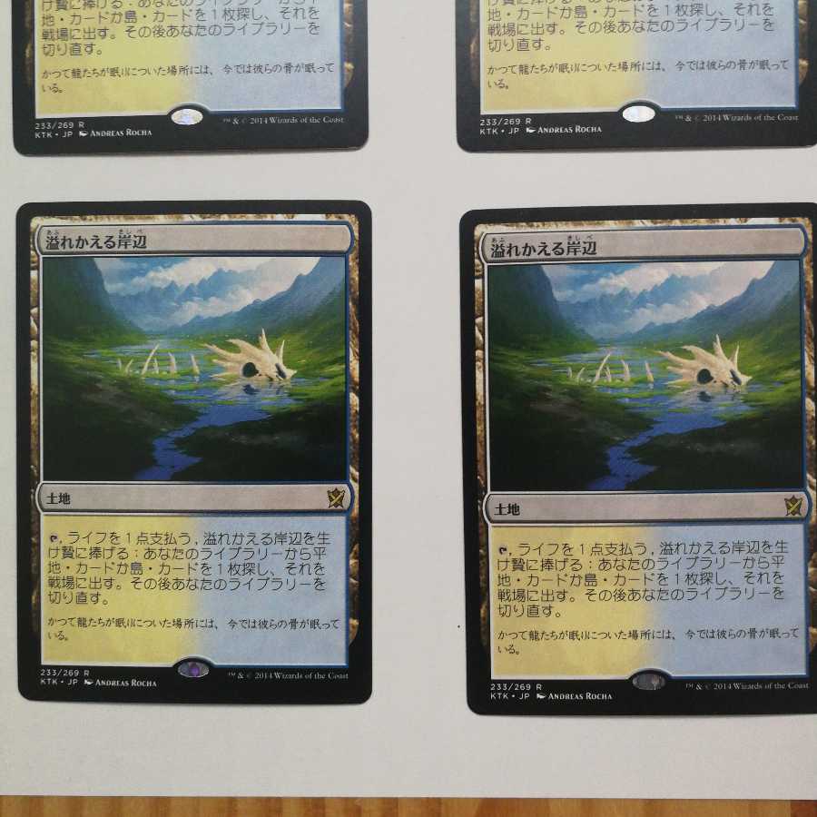 溢れかえる岸辺 日本語