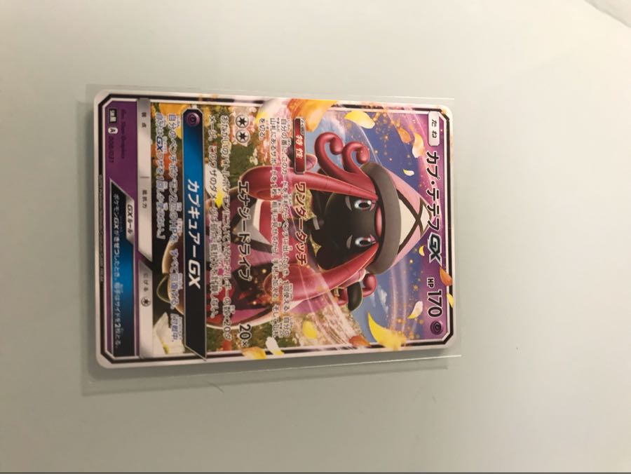 リンゴ星人様専用カプテテフgxノーマル専用