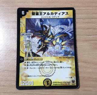 聖霊王アルカディアス